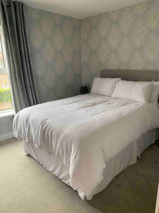 Apartamento The Court Belfast